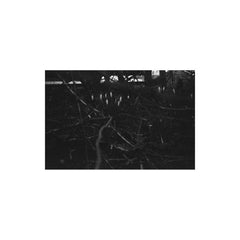 Grisha Shakhnes // For Moses Asch TAPE