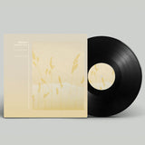 Adhémar // Mountain View 12inch