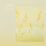Adhémar // Mountain View 12inch