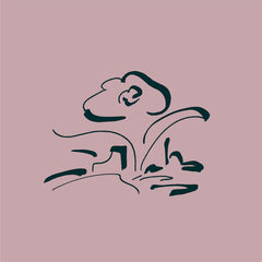 Lullatone // Music for My Friend's Flower Shop LP
