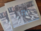 Filterbeds // Mutualism LP