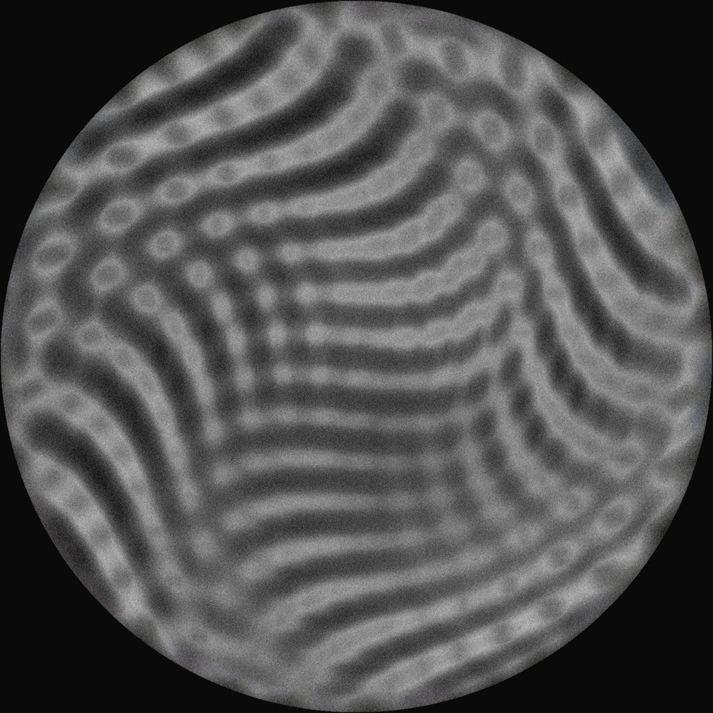 Tadan // Muses 12inch – Tobira Records
