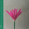 Kiri Ra! // nen LP