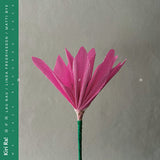Kiri Ra! // nen LP