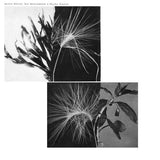 Andrew Pekler // New Environments & Rhythm Studies LP [PRE-ORDER]