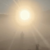 Florian TM Zeisig // A New Life LP