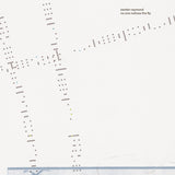 Zander Raymond // no one notices the fly LP