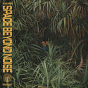 not even noticed // space beyond noise LP