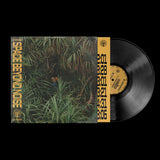 not even noticed // space beyond noise LP