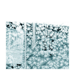 David Cordero // Numen TAPE