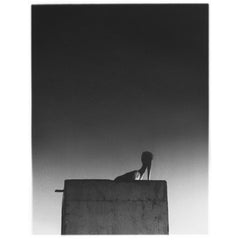 Ø // Sysivalo 2xLP+CD