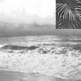 New Mexican Stargazers // The Oasis TAPE