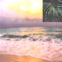 New Mexican Stargazers // The Oasis TAPE