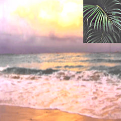 New Mexican Stargazers // The Oasis TAPE