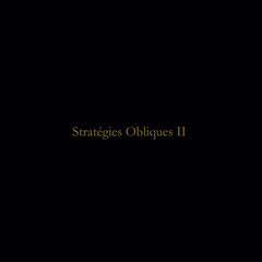 Coppice/ Toy Bizarre // Stratégies Obliques II LP [COLOR]