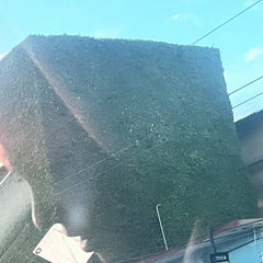 Observance // eviscerating abundance CD