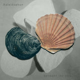 Kaleidophon // Between the objects CDr
