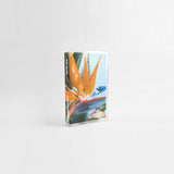 Kit Grill // Obsession TAPE