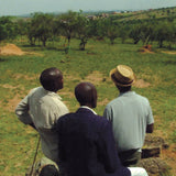 Katokye // Obuhangwa bwa Banyankore na Bahororo LP