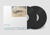 Éliane Radigue // Occam XIII, Occam River XI, Occam V 2xLP