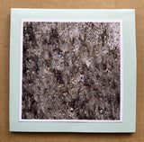Ollie Turbitt // Anchorite CDr