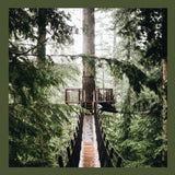 Molly // On The Road Again 12inch