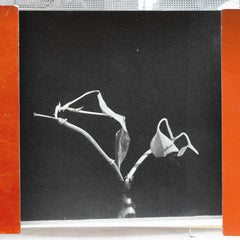 Pierre Bastien & Casper Van De Velde // On a Tuesday and a Wednesday LP