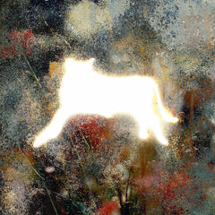 Joyer // On the Other End of the Line... LP [COLOR]