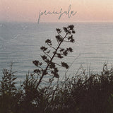 Various Artists (Peninsula Recordings x Inner Ocean) // Season One TAPE