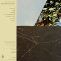 Alaskan Tapes & Blu Miles // Blank Slate, Open Space LP [COLOR]
