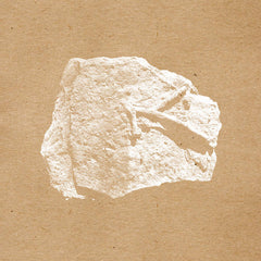 Oriol Solé // II 2xLP