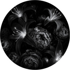 Pyramidal Decode // Origini 12inch