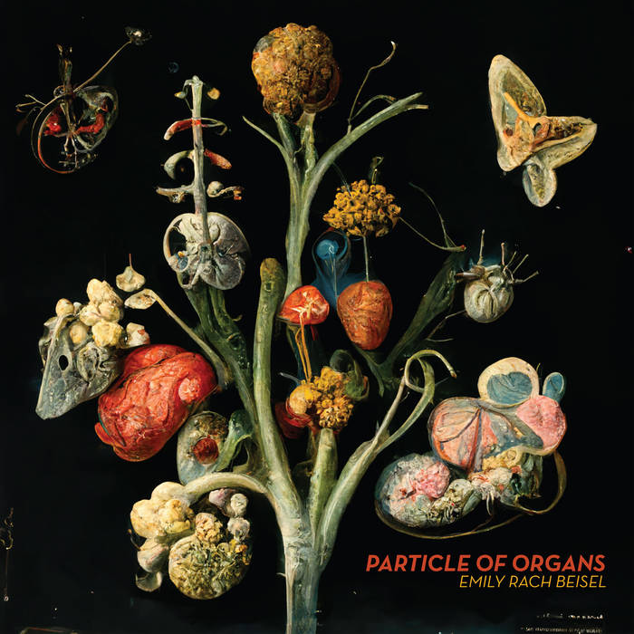Nikki Rach Emily Rach Beisel // Particle Of Organs CD – Tobira Records