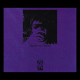 Dead Door Unit // Painted Windows CD