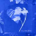 Nick Harley // Painted Blue TAPE