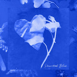 Nick Harley // Painted Blue TAPE