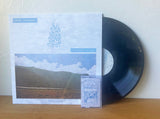 René Najera // Painted Life LP