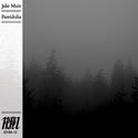 Jake Muir // Pareidolia LP [COLOR]