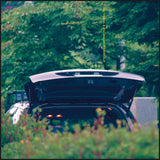 Eiko Ishibashi and Jim O'Rourke // Pareidolia LP