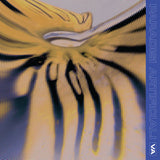 Polygonia, Crossing Avenue, Agonis, Feral // Paradisi Artificiali 12inch