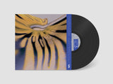 Polygonia, Crossing Avenue, Agonis, Feral // Paradisi Artificiali 12inch