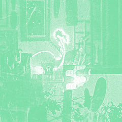 Mike Cooper // Stochastic Parrot CD