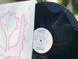 Isaac Sherman // A Pasture, Its Limits LP
