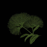 Session Restore | Bernhard Hudalla // Pathfinder EP 12inch