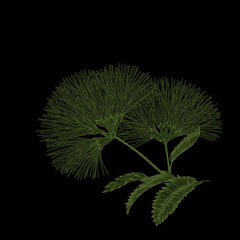 Session Restore | Bernhard Hudalla // Pathfinder EP 12inch