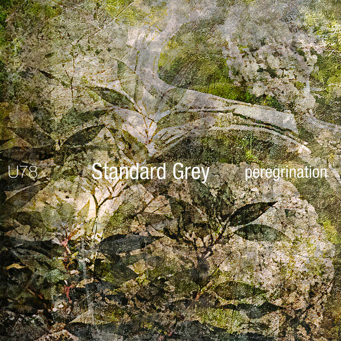 Standard Grey // peregrination CD