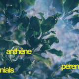 anthéne // perennials CD