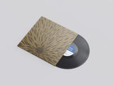 Willem Nyland // Piano Studies 337 LP