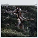 Scattered Light // Pine LP [COLOR]