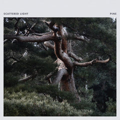 Scattered Light // Pine LP [COLOR]